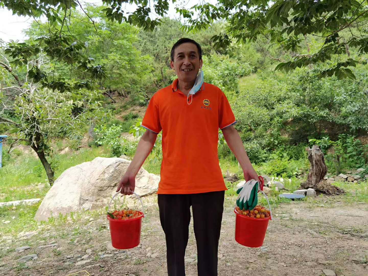 1592355207458786.jpg 1592355207458786.jpg